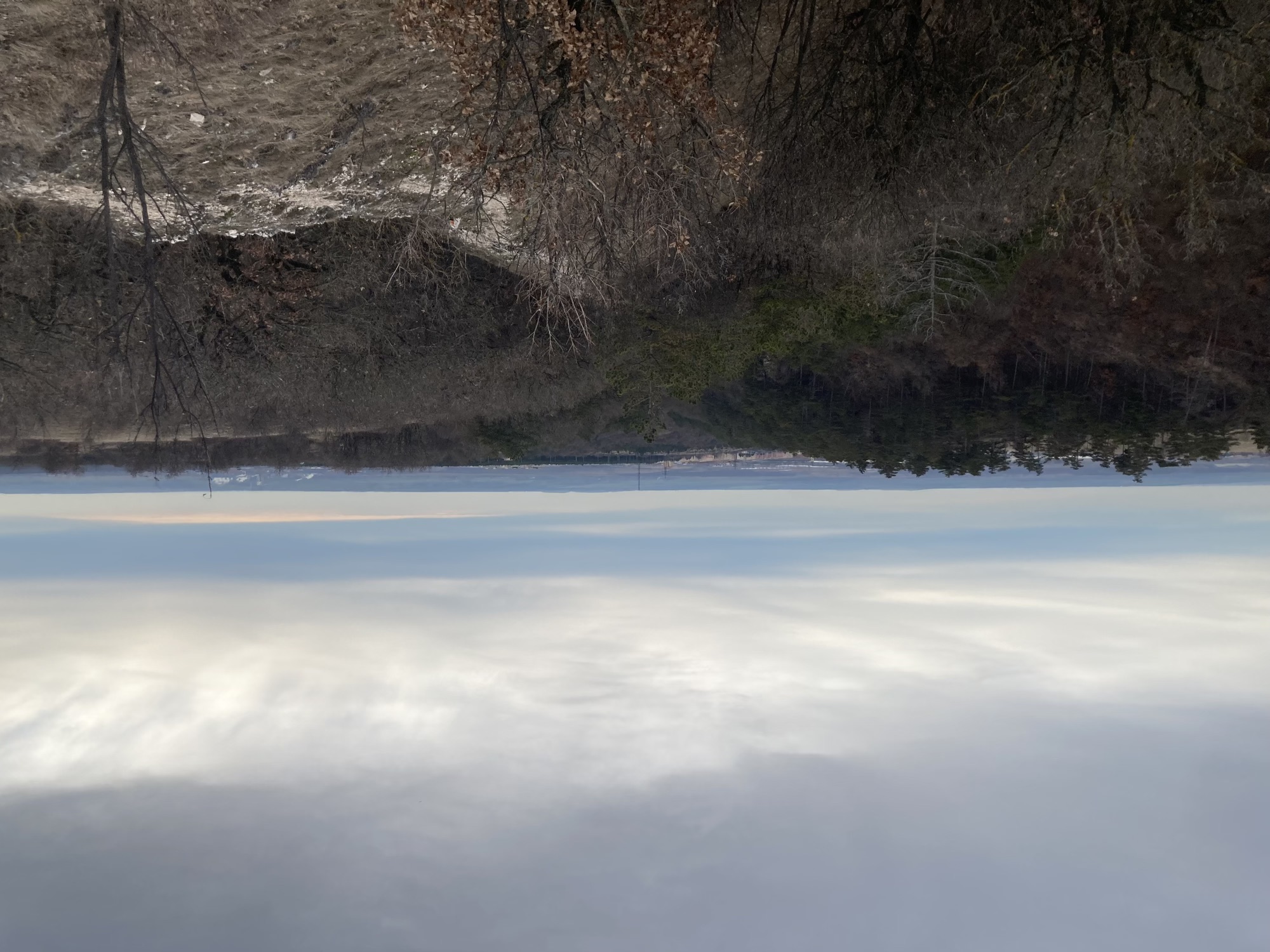 winterlicher Ausblick über eine flache Landschaft mit mehrheitlich kahlen Bäumen und Sträuchern, der Himmel nimmt die obere Hälfte des Bidls ein, die Wolken bilden ein gestreiftes Muster